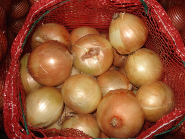 Onion