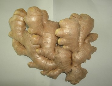 Ginger